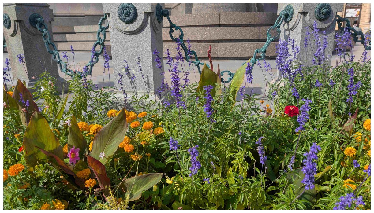 Farverige blomsterbede i efteråret